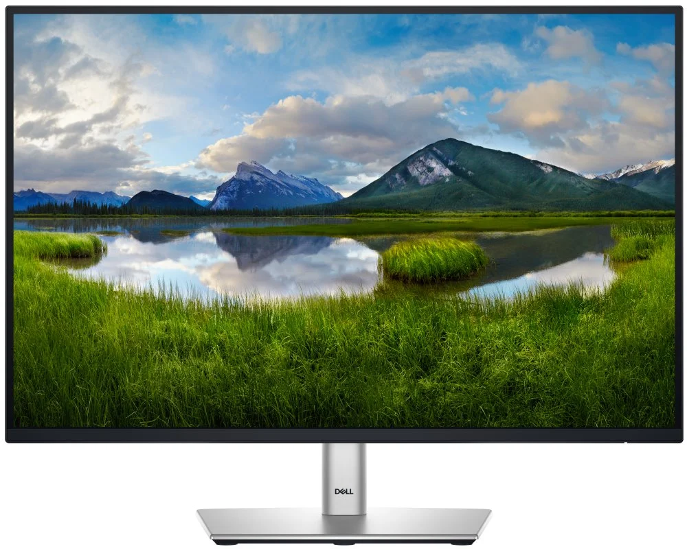 DELL Professional P2425E (210-BMJF)
