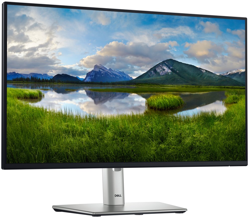 DELL Professional P2425H (210-BMFF)