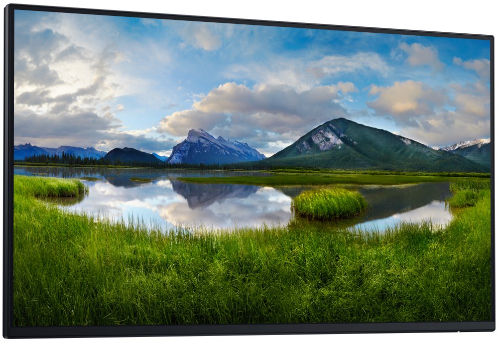 DELL Professional P2425H (210-BMTB) - BEZ STOJANU