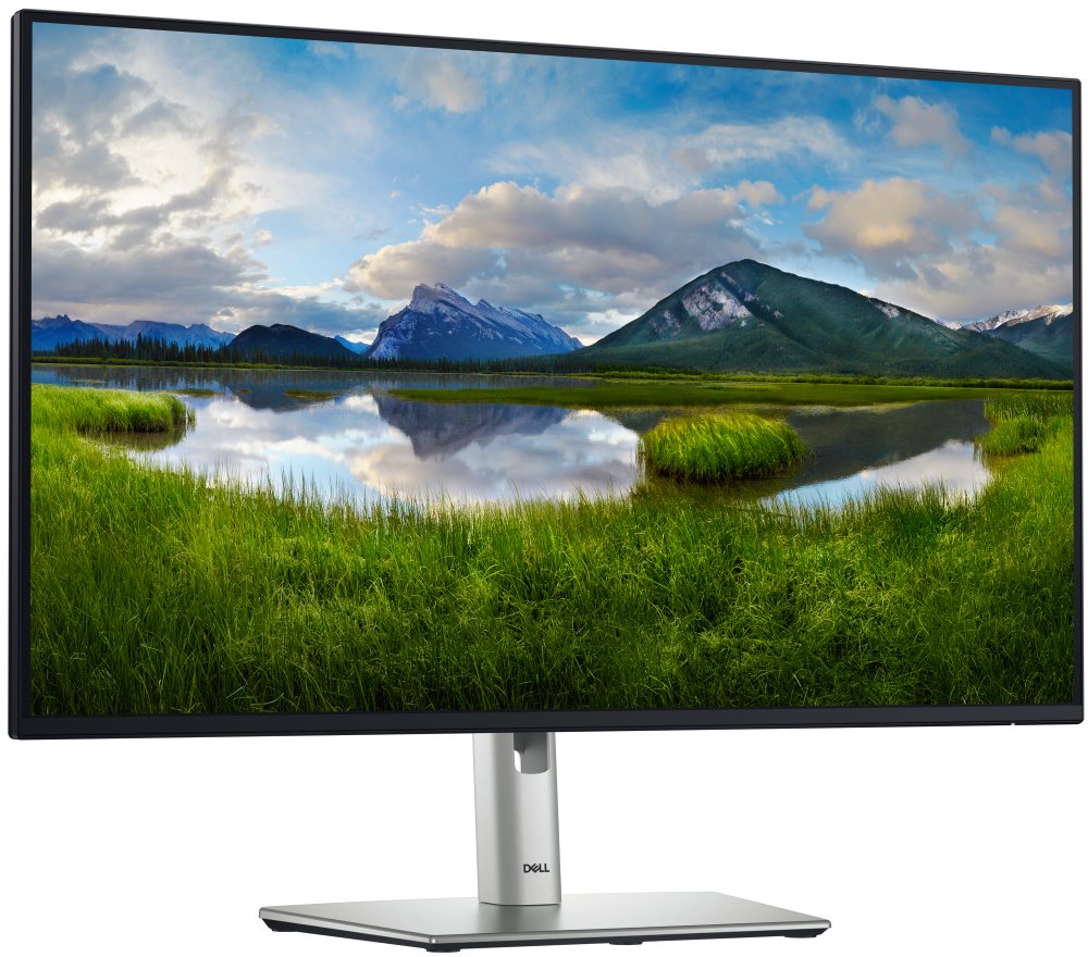 DELL Professional P2725H (210-BMGC)