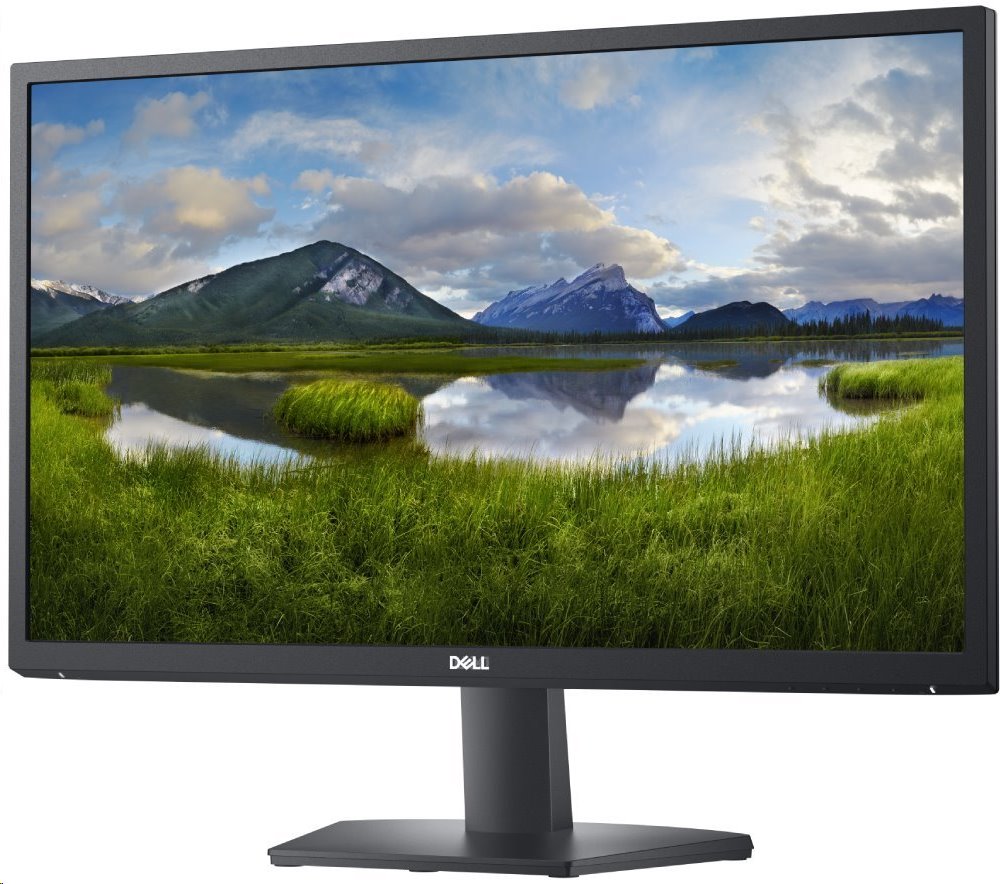 DELL SE2422H (210-AZGT)