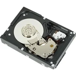 DELL server disk 1TB