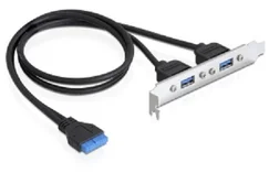 Delock záslepka interní 19pin USB 3.0 > 2 x USB 3.0-A samice externí (82963 )