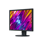 EIZO CS2400S černý 24"