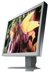Eizo monitor L997 21,3˝ LCD /1600x1200/550:1/16MS/DVI TCO03, S-IPS