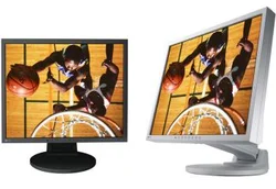 EIZO S1931SE-GY Grey 19˝ LCD 1000:1,8ms, DVI, USB, repro