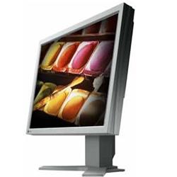 EIZO S2000 20.1˝ LCD /1600x1200/1000:1/20MS/DVI TCO03