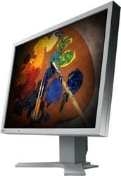 EIZO S2100 21.1" šedý