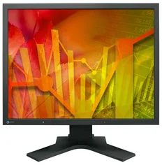 EIZO S2133-BK 21,3˝