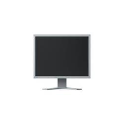 EIZO S2133-GY 21,3˝ - Monitory