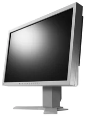 Eizo S2202WHA-GY Gray 22" 16:10, 1000:1, 5ms, DVI, repro, S-TN