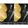 Electrolux EEM48320L