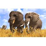 Elektronická licencia WildLife Park 3