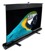 ELITE SCREENS ezCinema Series F120NWV