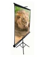 ELITE SCREENS T120UWH