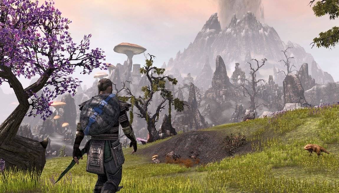 ESDThe Elder Scrolls Online elektronická licence