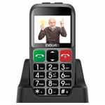 EVOLVEO EasyPhone EB stříbrný