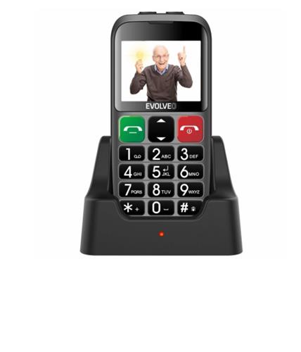EVOLVEO EasyPhone EB stříbrný
