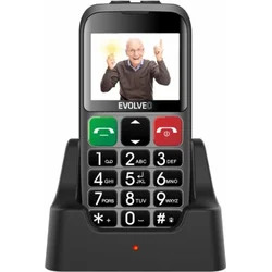EVOLVEO EasyPhone EB stříbrný