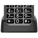 EVOLVEO EasyPhone ET stříbrný