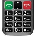 EVOLVEO EasyPhone ET stříbrný