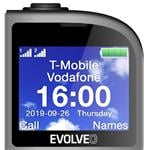 EVOLVEO EasyPhone FL stříbrná