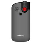 EVOLVEO EasyPhone FL strieborný