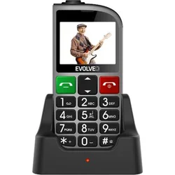 EVOLVEO EASYPHONE FM strieborný EP-800-FMS