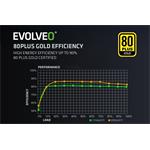 EVOLVEO G1000, 1000W, 80+ GOLD, ATX 3.1, PCIe 5.1, modulárny