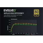 EVOLVEO G1000, zdroj 1000W, 80+ GOLD, ATX 3.1, PCIe 5.1, Modulární