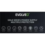 EVOLVEO G650, 650W, 80+ GOLD, ATX 3.1, PCIe 5.1, modulárny