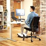 Fellowes Standard - Stojan pod monitor 9169301