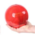 Firex Firexball-1 Hasiaca guľa (1,3 kg prášku Furex 770), 1ks