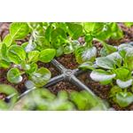 Gardena 13214-20 MDS 4-cestná spojka 4,6 mm 10ks