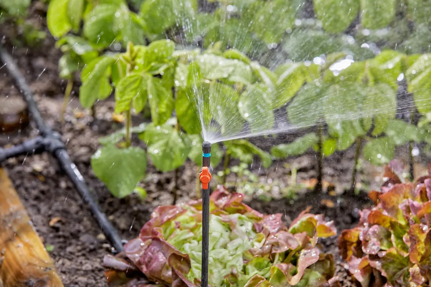Gardena 13320-20 Rozprašovacia tryska MDS 90° 5ks