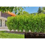 Gardena 13504-20 MDS Kapací hadice 13 mm, 50 M