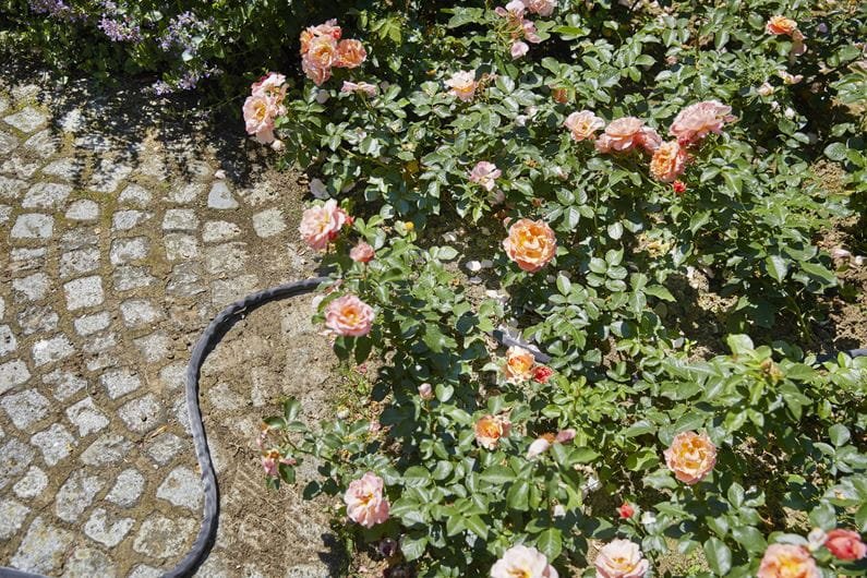 Gardena 18438-20 Textilná hadica Liano 30 m - sada s postrekovačom 18300 a armatúrami