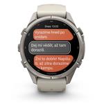 Garmin fenix® 9 Pro – inReach 43 mm, AMOLED, Titanium - Fog Gray