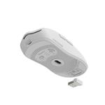 Genesis ZIRCON 500 biely