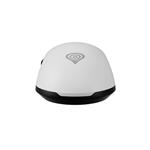 Genesis Zircon 660, biely