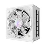 GIGABYTE AORUS ELITE P1000W 80+ Platinum PCIe 5.1 ICE