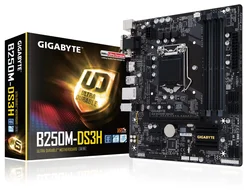GIGABYTE B250M-DS3H