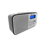 GoGEN DAB 300 N, strieborný GOGDAB300N
