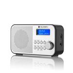 GoGEN DAB 300 N, strieborný GOGDAB300N