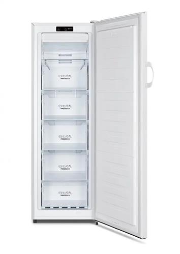 Gorenje FN4171CW