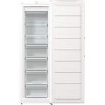 Gorenje FN619FEW5