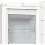 Gorenje FN619FEW5