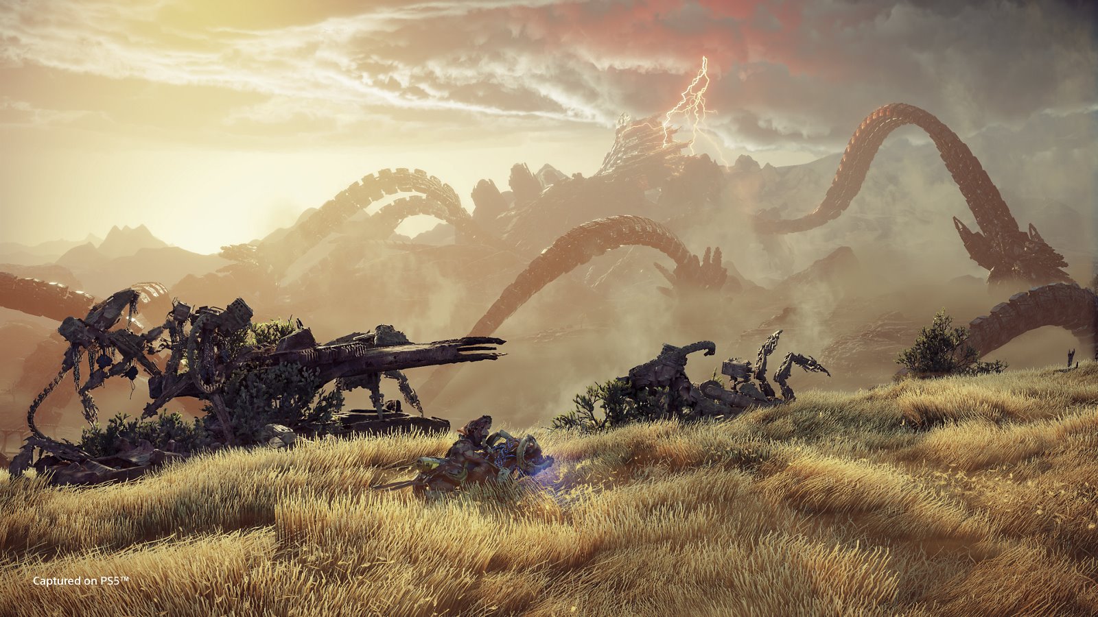 Horizon: Forbidden West (PS4)