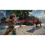 Horizon: Forbidden West (PS4)