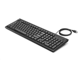 HP 100 USB klávesnice CZ (2UN30AA) - Klávesnice